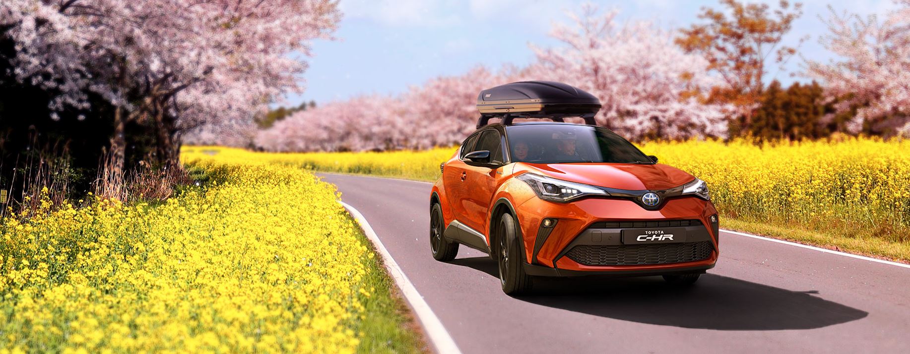 Toyota vyčistí a připraví vůz na jaro za výhodné ceny