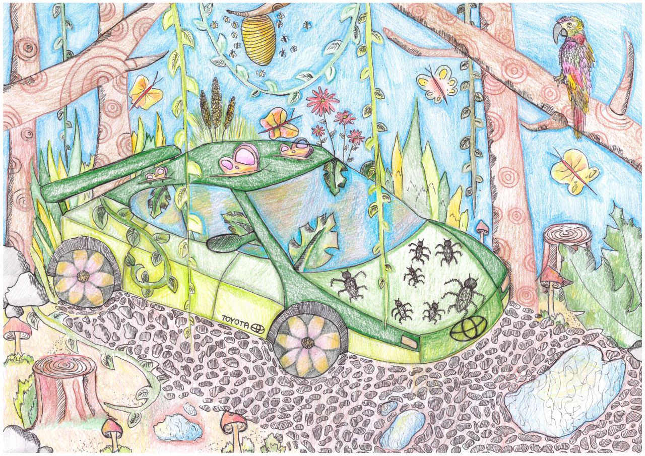 Výtvarná soutěž Dream Car zná vítěze národního kola pro rok 2024