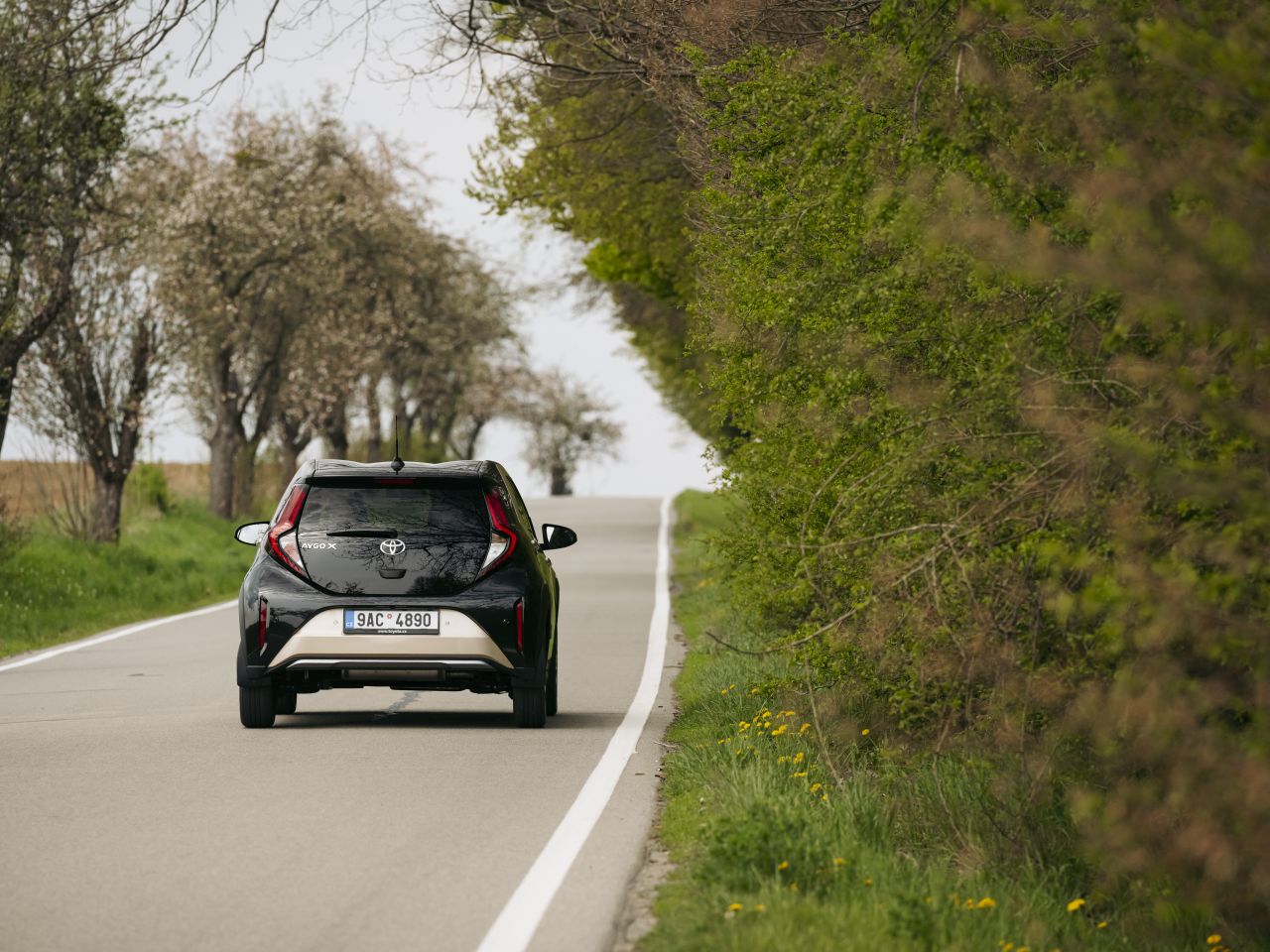 Letní cestování bez starostí? Nezapomeňte před sezónou připravit svůj vůz