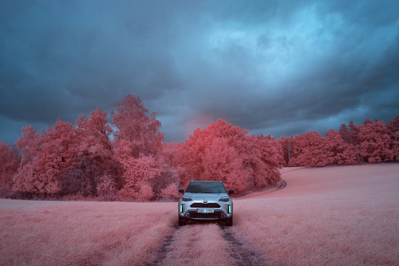 Toyota se i v červnu udržela na 2. místě na trhu, za první pololetí je celkově třetí