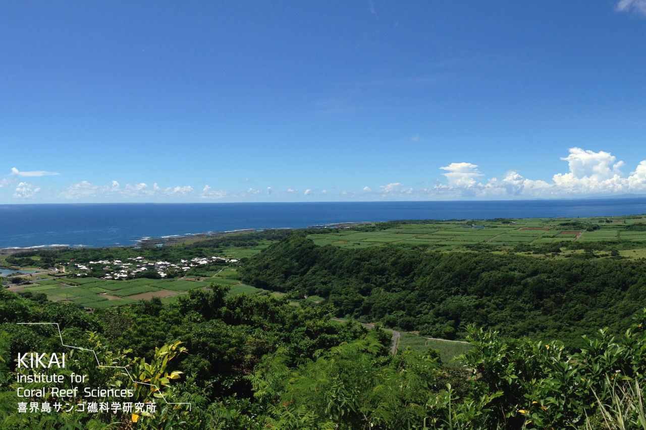 ÍME A TOYOTA VILÁGSZINTŰ KÖRNYEZETVÉDELMI PÁLYÁZATÁNAK IDEI GYŐZTESEI