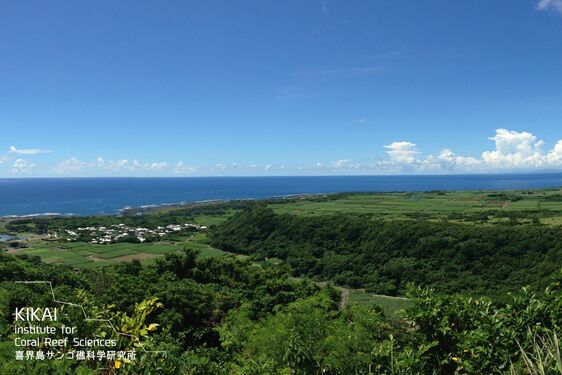 ÍME A TOYOTA VILÁGSZINTŰ KÖRNYEZETVÉDELMI PÁLYÁZATÁNAK IDEI GYŐZTESEI 