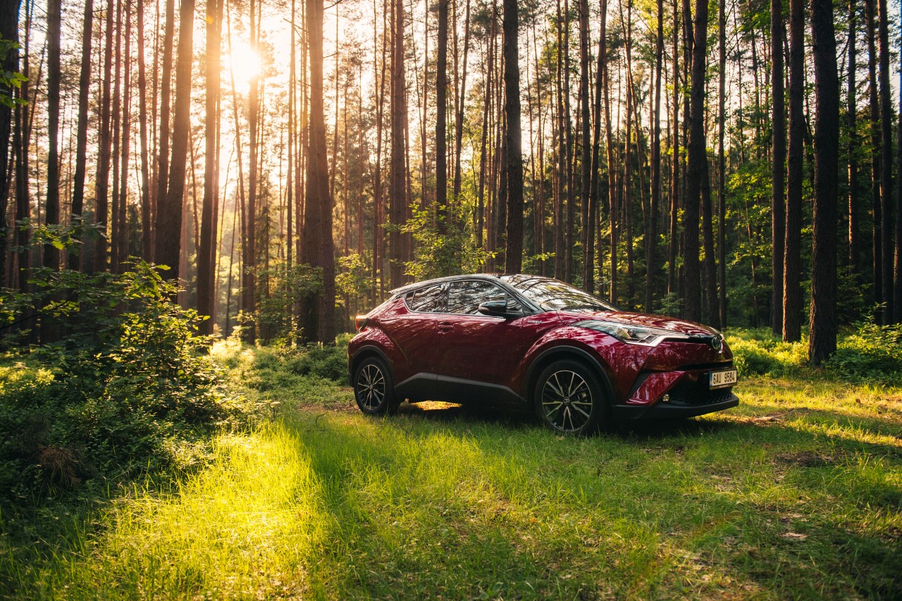 A VÁLLALATI FLOTTAVÁSÁRLÁSOK ALAPJÁBAN HATÁROZZÁK MEG AZ ÚJAUTÓ PIAC ZÖLDÜLÉSÉT