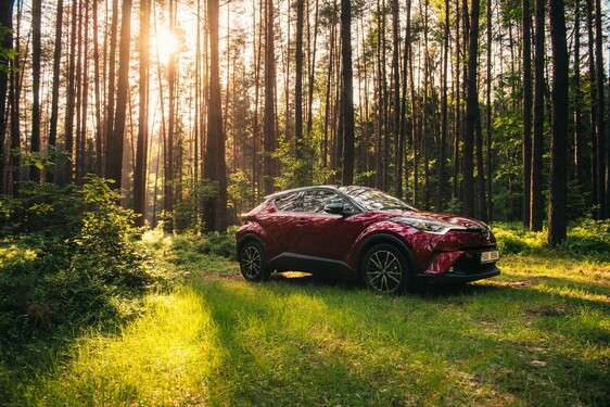 A VÁLLALATI FLOTTAVÁSÁRLÁSOK ALAPJÁBAN HATÁROZZÁK MEG AZ ÚJAUTÓ PIAC ZÖLDÜLÉSÉT