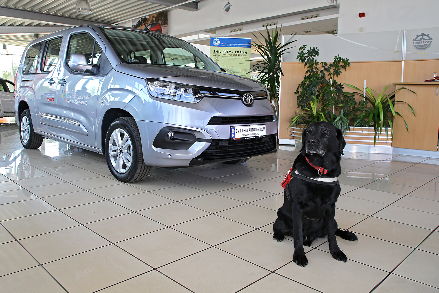 A MAGYAR VAKOK ÉS GYENGÉNLÁTÓK ORSZÁGOS SZÖVETSÉGE HASZNÁLHATJA MAJD A VADONATÚJ TOYOTA PROACE CITY VERSO ELSŐ HAZAI PÉLDÁNYÁT