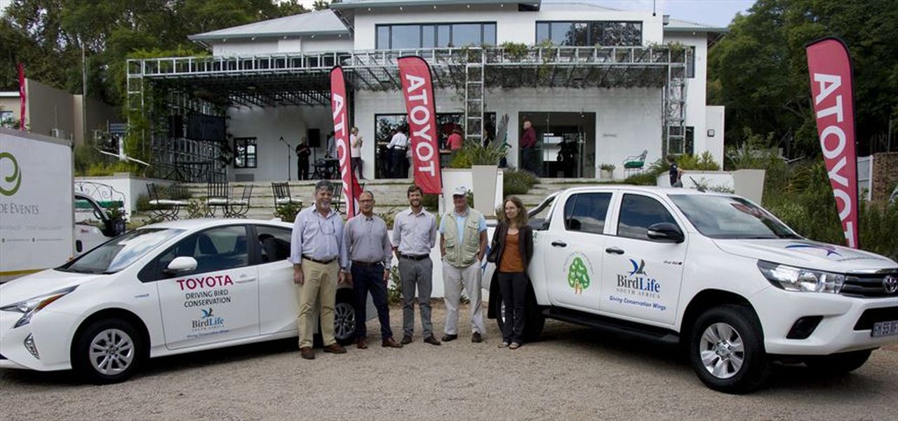 A TOYOTA VESZÉLYEZTETETT MADÁRFAJOK MEGMENTÉSE ÉRDEKÉBEN KÖTÖTT EGYÜTTMŰKÖDÉST