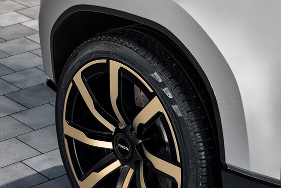 Land Cruiser Se 2025