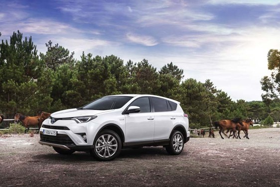 RAV4 Hybrid 2016