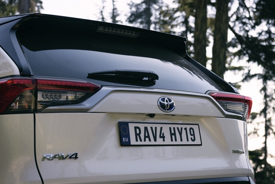 RAV4 2019