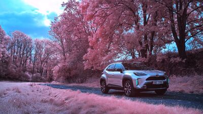 Toyota chystá listopadový Toyota Víkend plný výhod a akčních cen