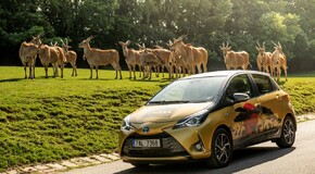 Hybridem Toyota do Safari Parku Dvůr Králové 