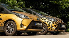 Hybridem Toyota do Safari Parku Dvůr Králové 