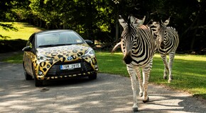 Hybridem Toyota do Safari Parku Dvůr Králové 