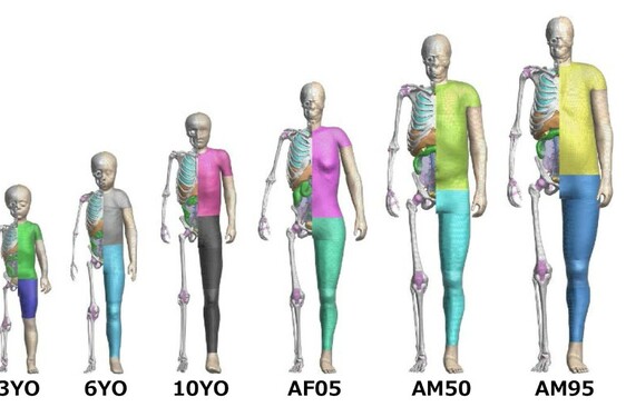 Już 400 podmiotów skorzystało z cyfrowych manekinów THUMS do wirtualnych testów zderzeniowych. Toyota udostępniła je za darmo