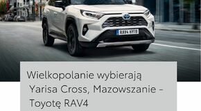 Ranking po województwach