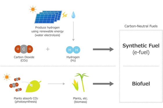 Rodzaje paliw neutralnych pod względem emisji CO2