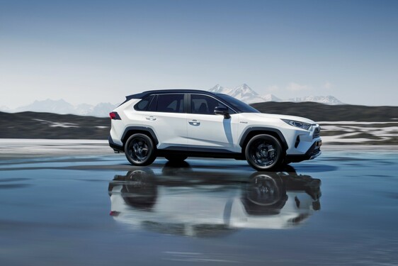 RAV4 2019