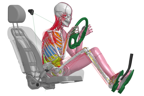 THUMS (Total Human Model for Safety) 