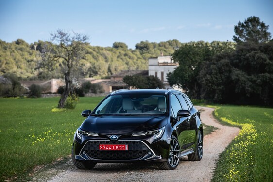 Corolla 2019