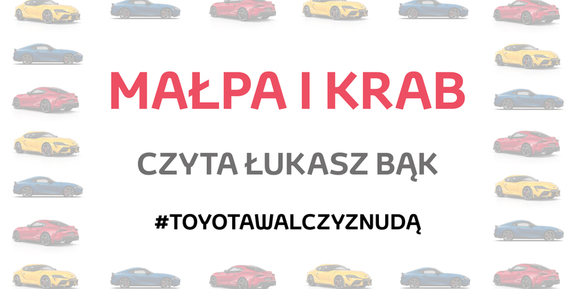 Bajka "Małpa i krab" – czyta Łukasz Bąk