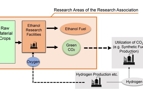 Research Association of Biomass Innovation for Next Generation Automobile Fuels