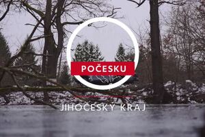 Cestování 