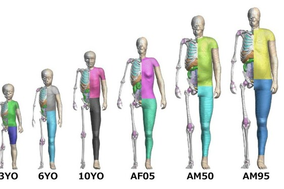 Toyota przekazuje cyfrowe manekiny THUMS do wirtualnych testów zderzeniowych