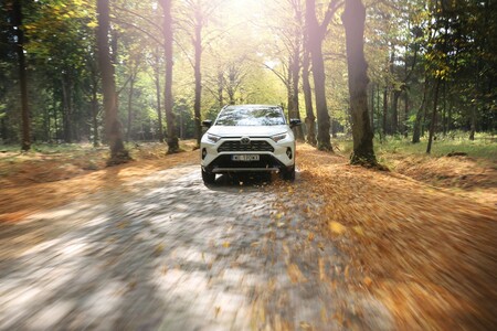 Napęd AWD-i – co powinieneś wiedzieć o inteligentnym napędzie 4x4 Toyoty w autach hybrydowych?