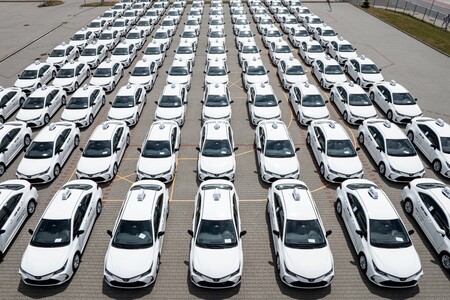 Toyota to bezpieczny wybór dla biznesu. Niezawodność i kompleksowe programy gwarancyjne dla aut osobowych i dostawczych