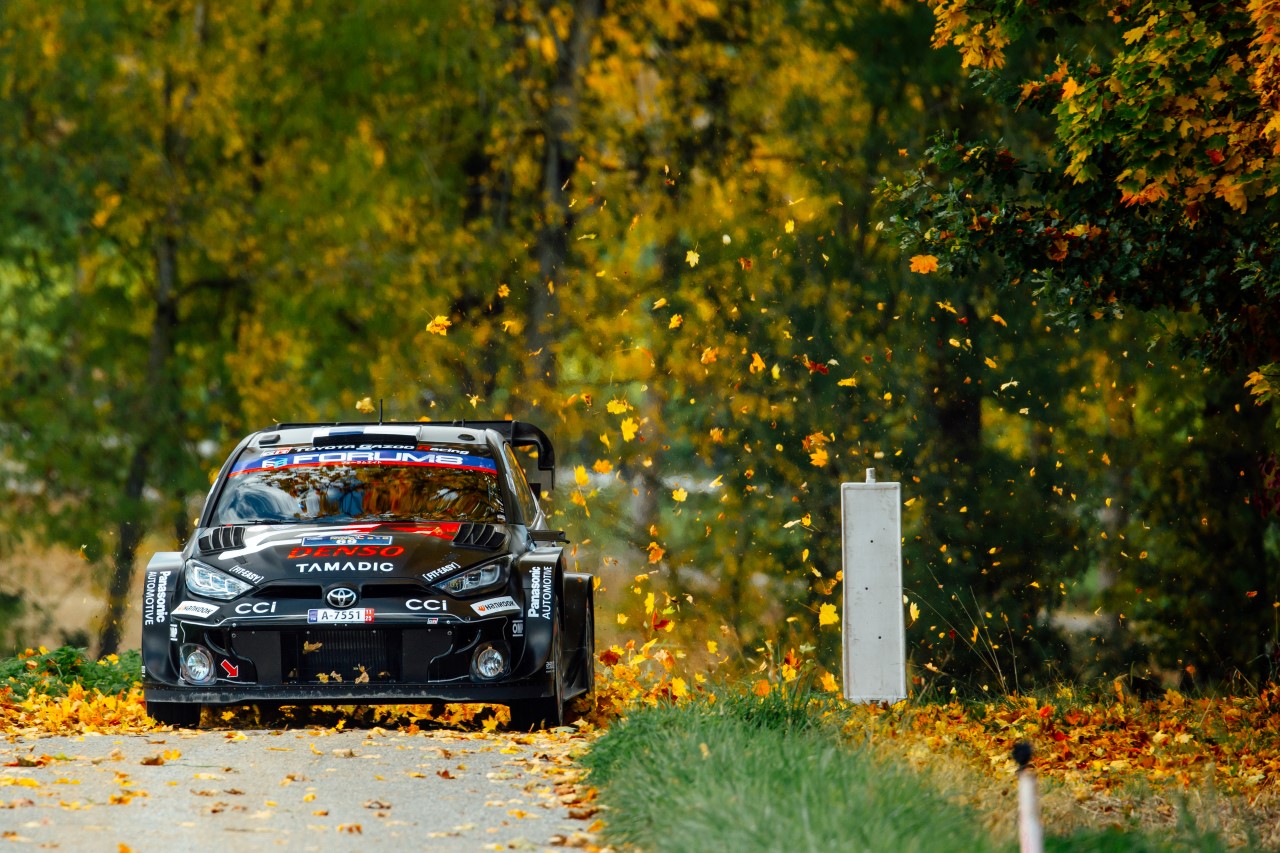 WRC Rajd Japonii 2025: Toyota świętuje tytuł i walczy o kolejne zwycięstwo