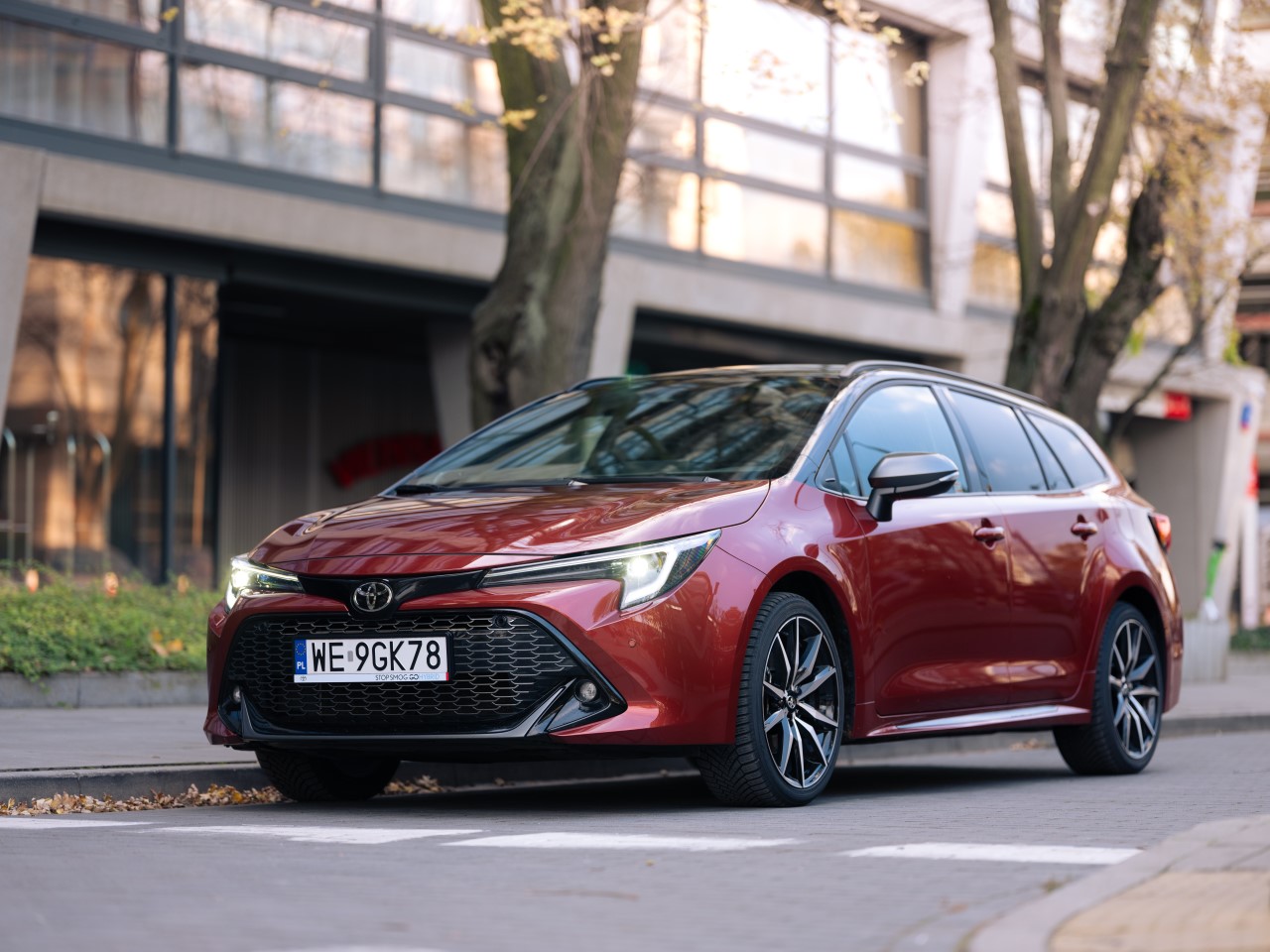 Toyota powiększa przewagę nad konkurencją. Zdecydowany lider polskiego rynku. Corolla najpopularniejszym modelem