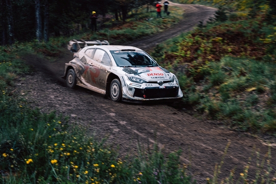 WRC 2025