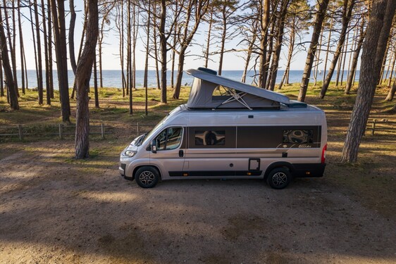 Kamper PROACE MAX Tanuki 2026
