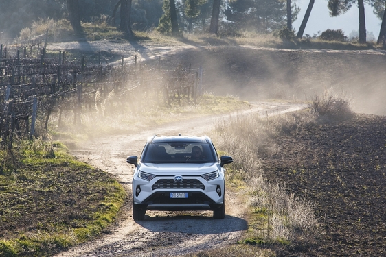 RAV4 2019