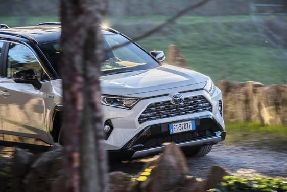 RAV4 2019