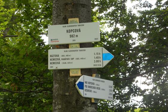 Toyota – partner programu Živé chodníky