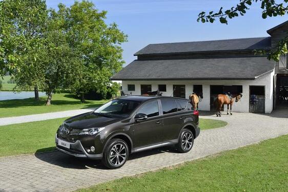 RAV4 2013