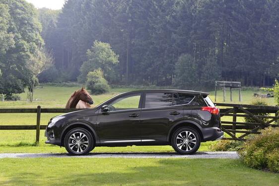 RAV4 2013