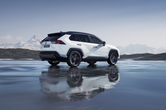 RAV4 2019