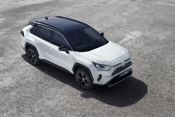 RAV4 2019