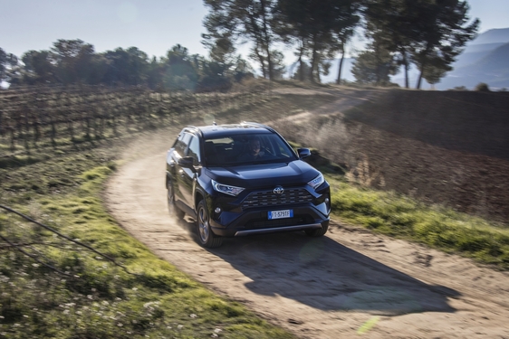 RAV4 2019