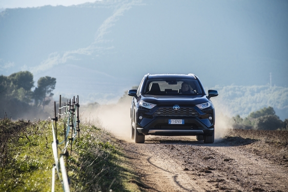 RAV4 2019