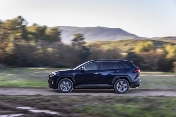 RAV4 2019