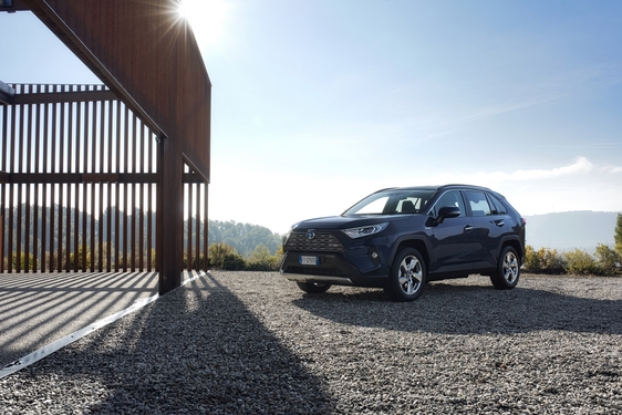 RAV4 2019