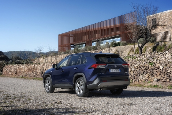 RAV4 2019