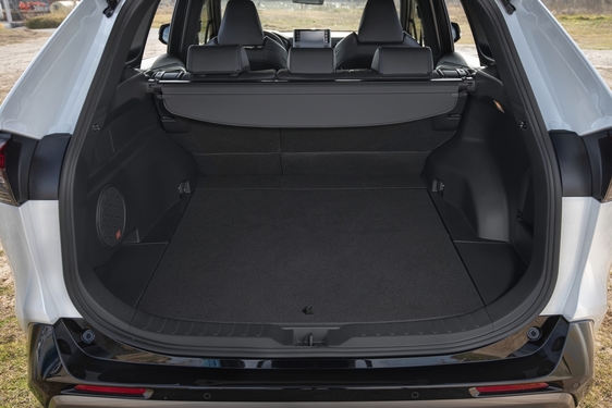 RAV4 2019