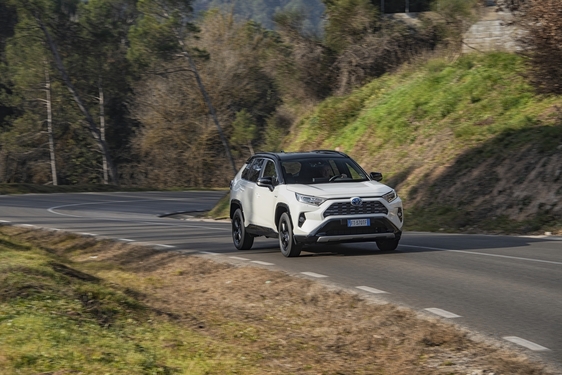RAV4 2019