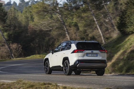 RAV4 2019