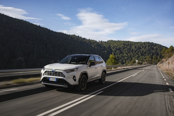 RAV4 2019