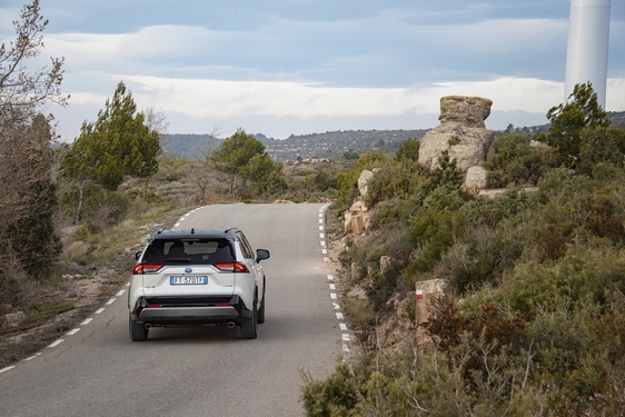 RAV4 2019
